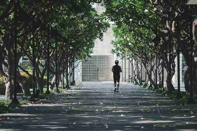 2025年麻豆app升级数据洞察：85招秘籍