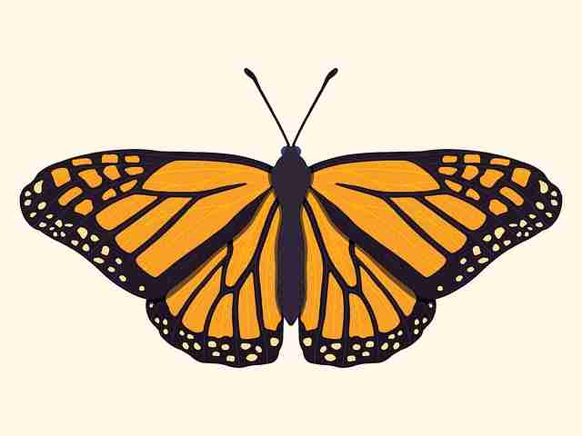 20个理由让你选择糖心vlog新官方入口,数据洞察