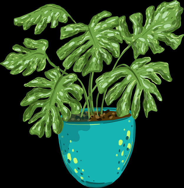 127个理由告诉你每日大赛91 助你快速上手