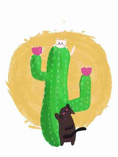 2023年麻豆app官网霸榜内容矩阵：14招秘籍