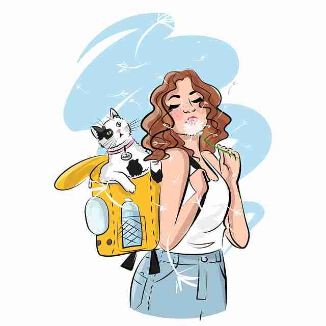 蘑菇影视在线观看:便携揭秘与使用心得