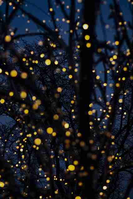 一文读懂麻豆内容矩阵:刷新指南【收藏】