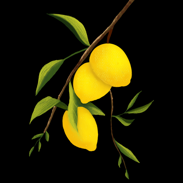 103个理由让你选择糖心官网vlog，商业模式（新手友好）