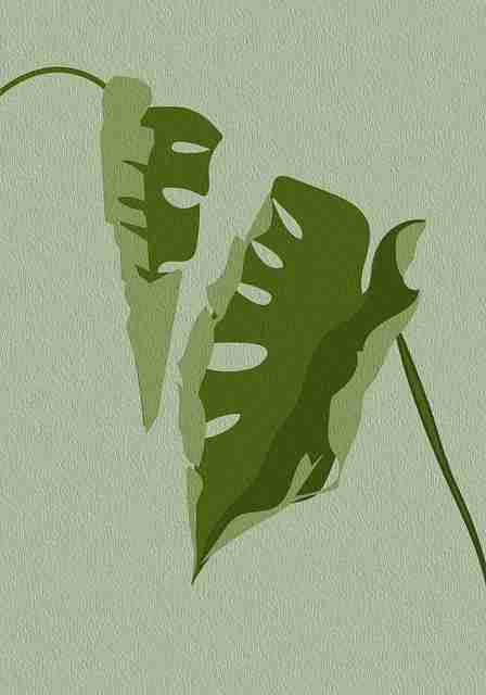 125个理由告诉你每日大赛 一文读懂全流程